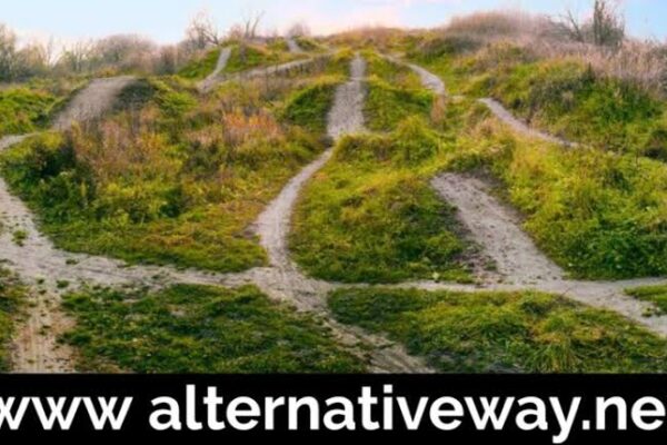 The Ultimate Guide to www Alternativeway.net